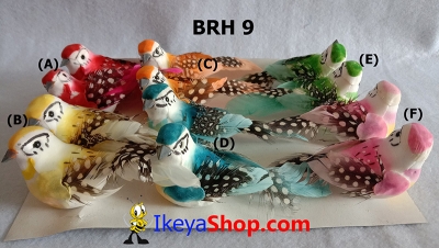 BRH 9 a  large2